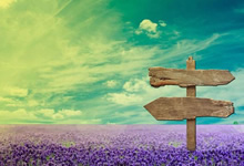 法國法令2019-1007協(xié)調(diào)與某些非食品產(chǎn)品安全有關(guān)的監(jiān)管規(guī)定